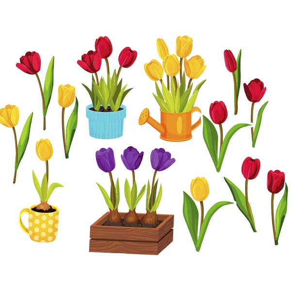 Dekoracje – Tulipany