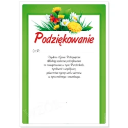 Podziękowanie Przedszkole
