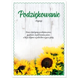 Podziękowanie Szkoła